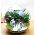 Różne typy terrarium z przezroczystym szklanym wazonem